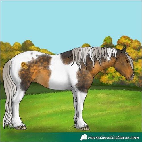 Horse Color:Silver Buckskin Tobiano 