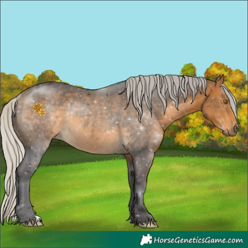 Horse Color:Silver Buckskin Rabicano 