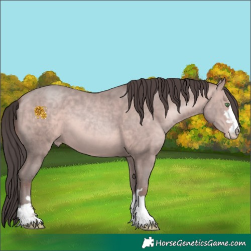 Horse Color:Platinum Amber Champagne 