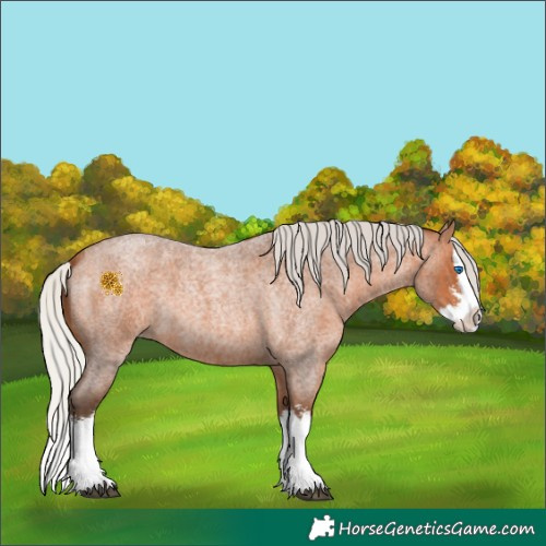 Horse Color:Silver Bay Roan Sabino Splash 