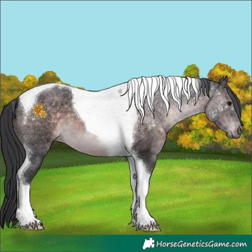 Horse Color:Platinum Brown Tobiano 