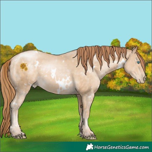 Horse Color:White Spotted Buckskin Pearl 