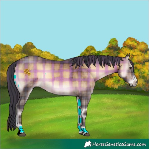 Horse Color:Plaid  Brown Onyx Sabino Rabicano 