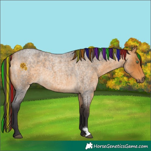 Horse Color:Painted Buckskin Roan 