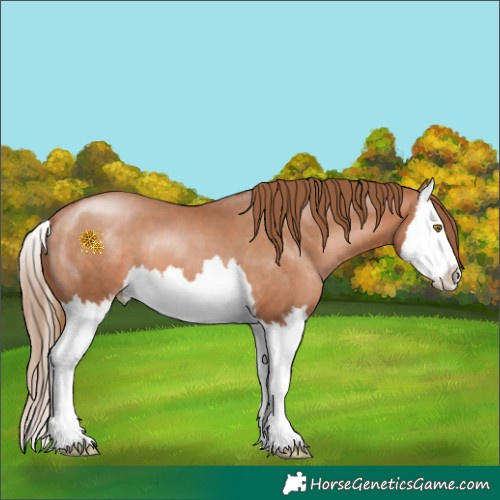 Horse Color:Brown Pearl Splash 