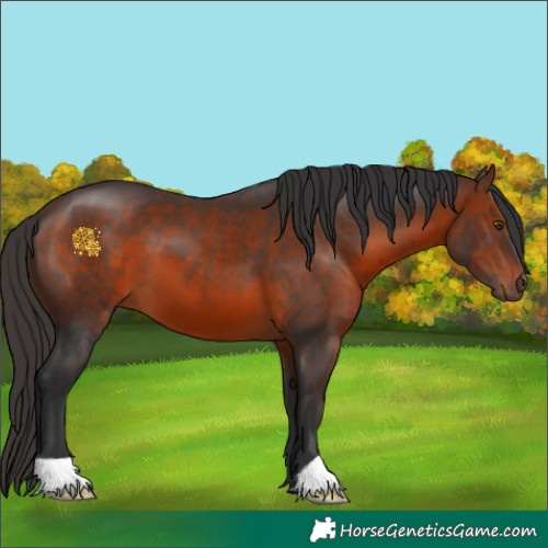Horse Color:Brown 