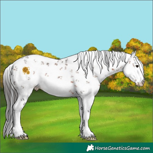 Horse Color:White Spotted Brown Ice Sabino 