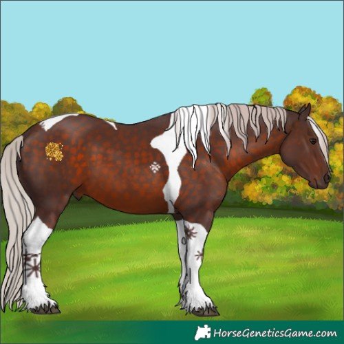 Horse Color:Chocolate Silver Brown Tobiano 