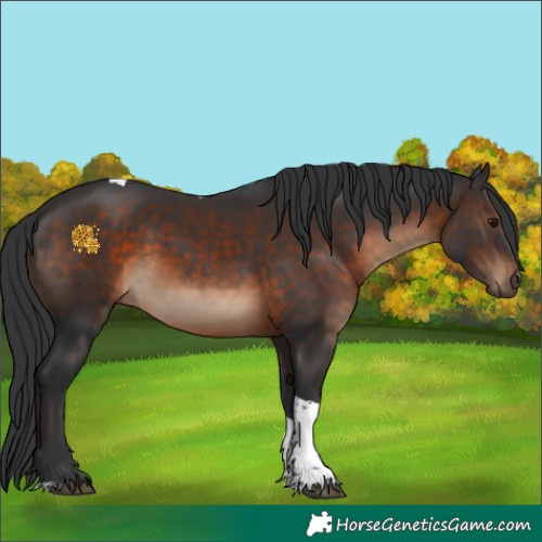 Horse Color:Brown Tobiano 