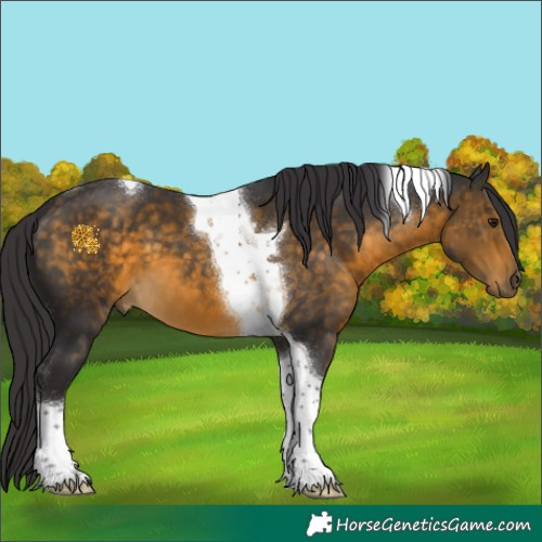 Horse Color:Buckskin Tobiano 
