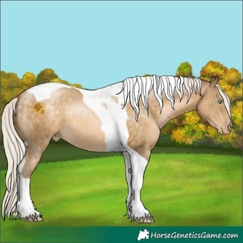 Horse Color:Silver Buckskin Pearl Tobiano 