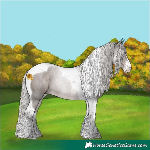 Horse Color:Silver Black Sabino Tobiano Rabicano 