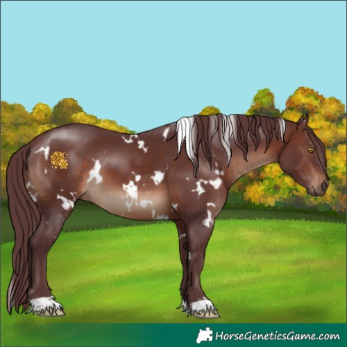 Horse Color:White Spotted Chocolate Brown 