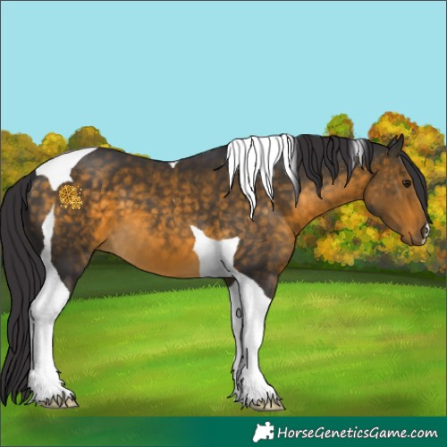 Horse Color:Buckskin Tobiano 