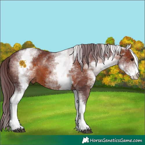 Horse Color:White Spotted Chocolate Bay 