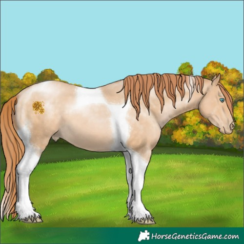 Horse Color:Buckskin Pearl Tobiano 