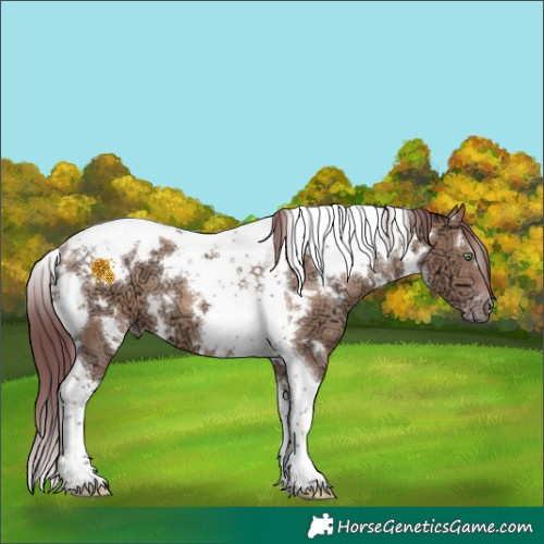 Horse Color:White Spotted Chocolate Sable Champagne Ice Tobiano 