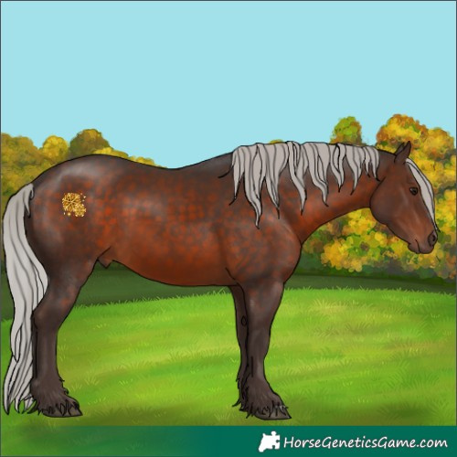 Horse Color:Silver Brown 