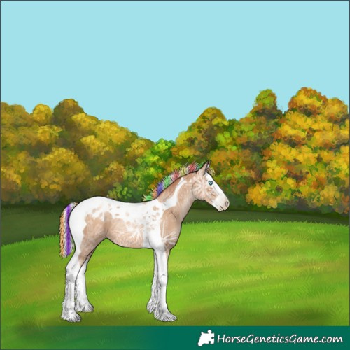 Horse Color:Gray Painted Silver Classic Champagne Ice Pearl Splash Tobiano Blanket 