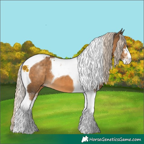 Horse Color:Chocolate Palomino Sabino Tobiano 