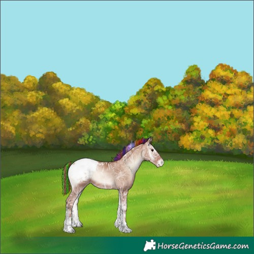 Horse Color:Painted Blue Onyx Ice Pearl Tobiano Appaloosa 
