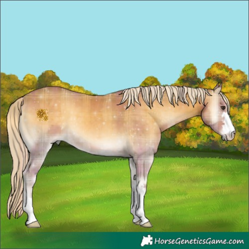 Horse Color:Plaid  Palomino Onyx 