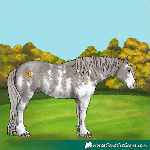Horse Color:Silver Black Sabino 