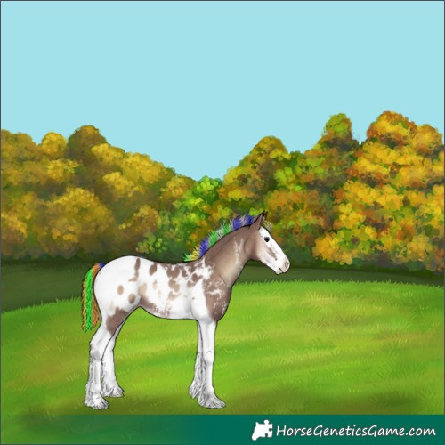 Horse Color:Painted Silver Blue Onyx Sabino Splash Tobiano Appaloosa Rabicano 