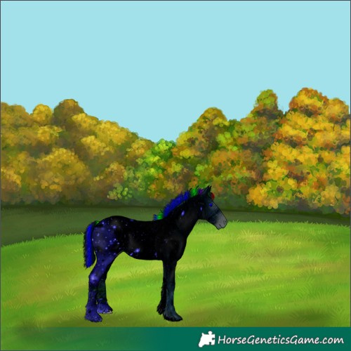 Horse Color:ERROR: UNKNOWN ANOMALY