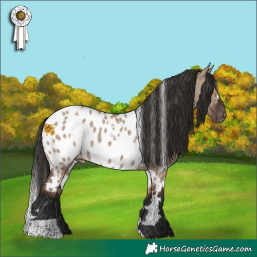 Horse Color:White Spotted Liver Red Dun Appaloosa 