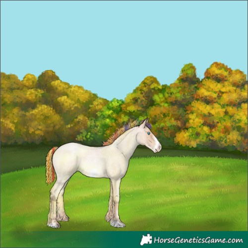 Horse Color:Painted Gold Champagne Roan Pearl Frame Rabicano 