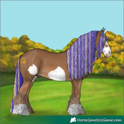 Horse Color:Painted Chocolate Palomino Frame 