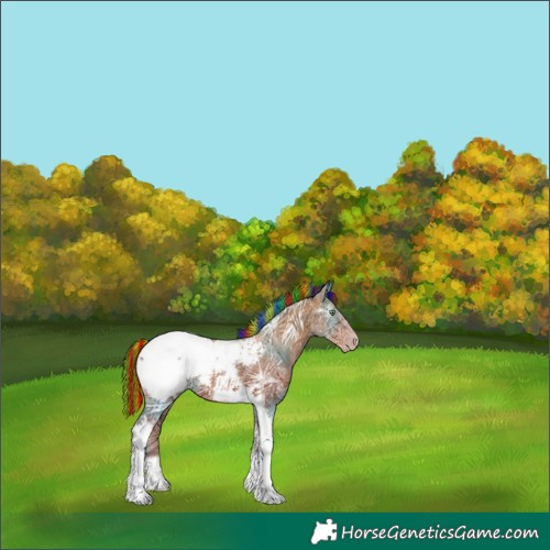 Horse Color:Gray Painted Gold Champagne Ice Tobiano Frame Snowcap Rabicano 