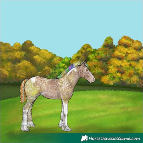 Horse Color:Gray Painted Silver Classic Champagne Ice Tobiano Rabicano 