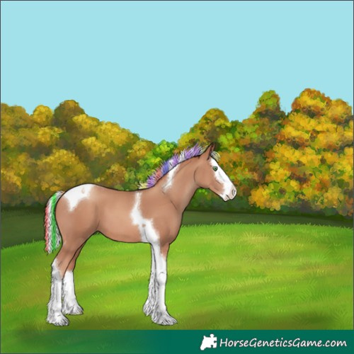 Horse Color:Painted Silver Classic Champagne Splash Tobiano 