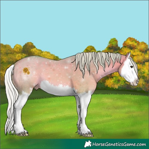 Horse Color:Watercolor Silver Bay Dun Splash 
