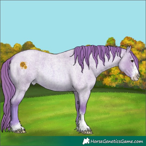 Horse Color:Watercolor Red Dun Roan Sabino 