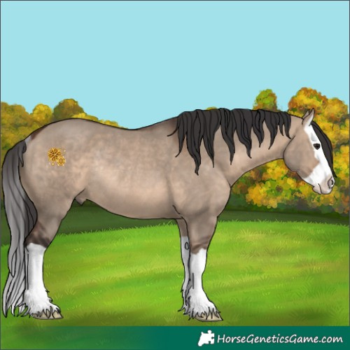 Horse Color:Brown Dun Splash Rabicano 