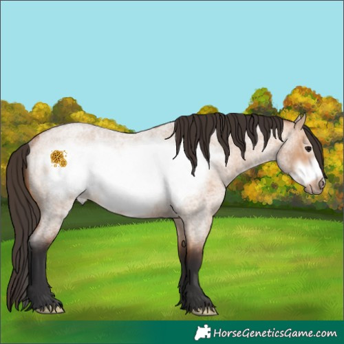 Horse Color:Bay Roan Dun Frame Rabicano 