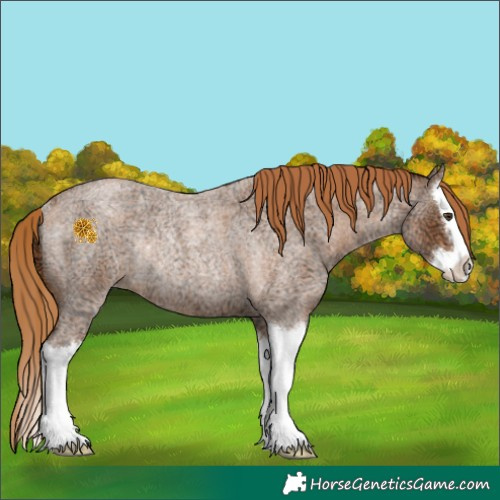 Horse Color:Red Ice Roan Splash Rabicano 