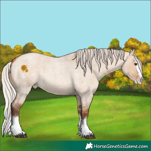 Horse Color:Silver Bay Roan Dun Splash 