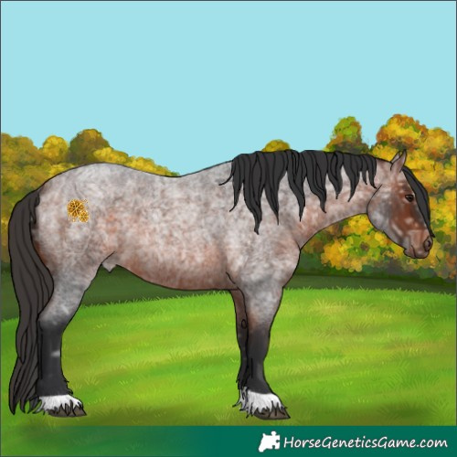 Horse Color:Bay Ice Roan 