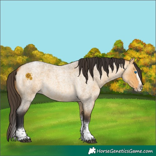 Horse Color:Buckskin Roan Dun Splash Tobiano 