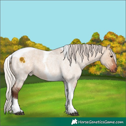 Horse Color:Silver Bay Roan Dun Tobiano 