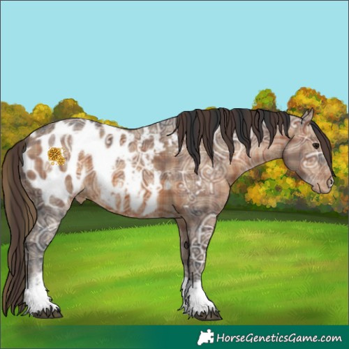 Horse Color:Plaid  Brown Ice Tobiano Near Leopard 