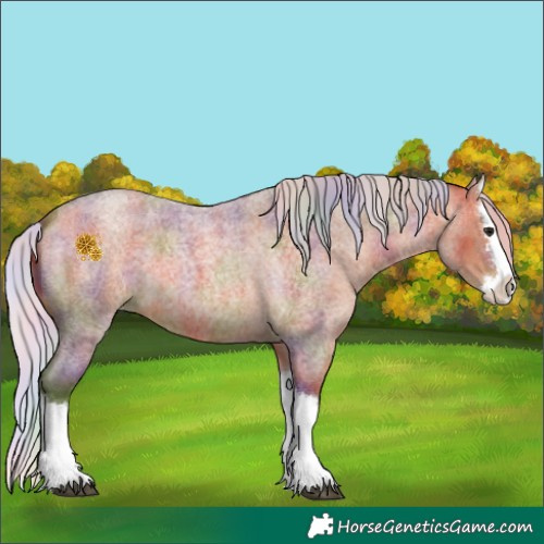 Horse Color:Nacre Silver Bay Roan Splash 