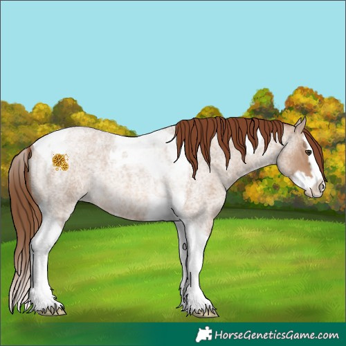 Horse Color:Red Dun Roan Splash Tobiano Rabicano 