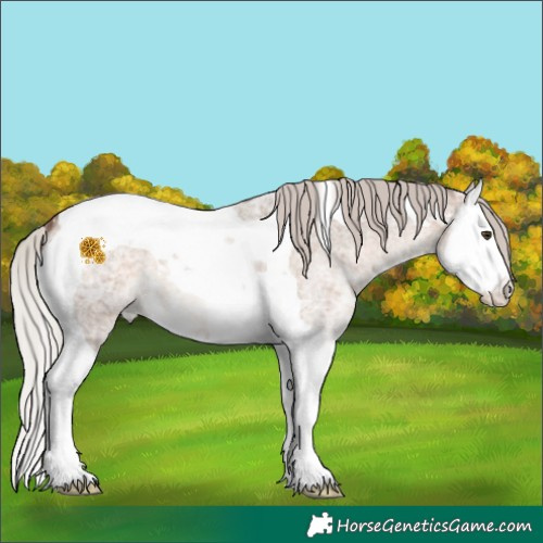 Horse Color:Silver Brown Ice Roan Dun Splash Tobiano 