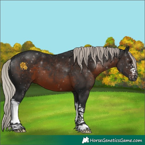 Horse Color:Gray White Spotted Silver Brown 