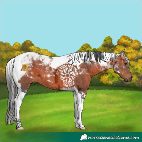 Horse Color:Gray Bay Ice Tobiano 